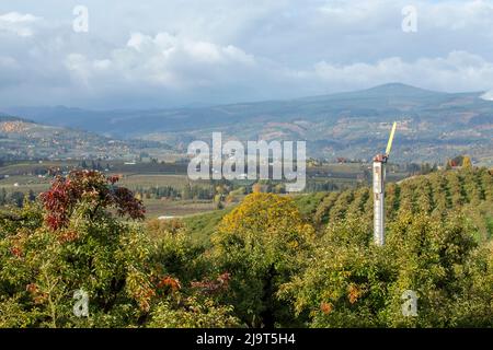 Hood River, Oregon, USA. Windmaschine oder Obstgarten Fan in einem Apfelgarten. Windmaschinen schützen das Erntegut durch höhere Temperaturen. Stockfoto