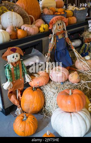 Hood River, Oregon, USA. Verschiedene Kürbisse und Vogelscheuchen als Halloween-Dekor an einem Stand. Stockfoto