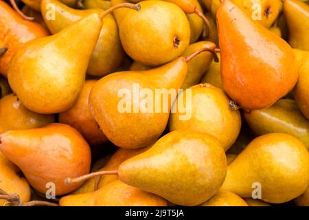 Hood River, Oregon, USA. Bosc Birnen zum Verkauf an einem Obststand. Stockfoto