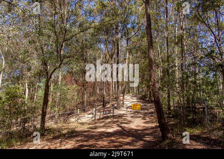 Ende der Straße im Eukalyptuswald. Tor blockiert raue Spur. Kein Zugang zum Fahrzeug. Mountainbike-Pfad geschlossen. Trocken, sonnig, Queensland, Australien. Stockfoto