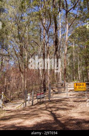 Ende der Straße im Eukalyptuswald. Tor blockiert raue Spur. Kein Zugang zum Fahrzeug. Mountainbike-Pfad geschlossen. Trocken, sonnig, Queensland, Australien. Stockfoto