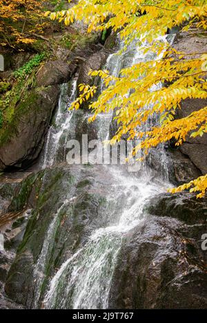 USA, Vermont, Herbstlaub im Mad River Valley entlang des Weges zu den Warren Falls Stockfoto