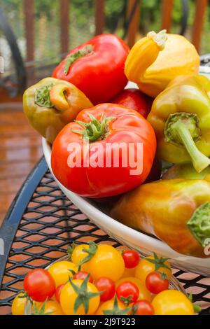 Sammamish, Staat Washington, USA. Schüssel mit frischen Produkten, darunter rote Tomaten, Zigeuner-Hybrid-Paprika, Sommer-Crookneck-Kürbis und Birnen mit einem Stockfoto