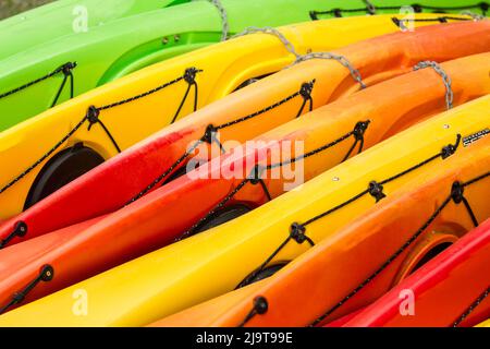 Issaquah, Staat Washington, USA. Bunte Kajaks liegen auf ihrer Seite an einem Kajak-Verleih am Lake Sammamish State Park. Stockfoto