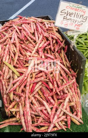 Issaquah, Staat Washington, USA. Cranberry-Schälbohnen zum Verkauf auf einem Bauernmarkt Stockfoto