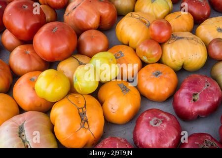 Issaquah, Staat Washington, USA. Erbstück Tomaten zum Verkauf auf einem Bauernmarkt Stockfoto