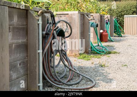 Issaquah, Staat Washington, USA. Bewässerungsstationen in einem Gemeinschaftsgarten. Stockfoto