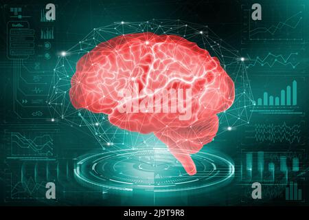Das menschliche Gehirn. Die Untersuchung der Möglichkeiten des Gehirns bei der Entwicklung künstlicher Intelligenz. Analyse und Rekonstruktion des neuronalen Netzes Stockfoto