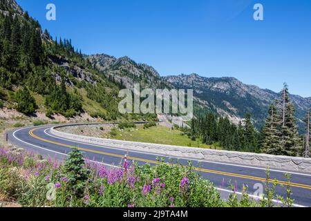 Chinook Pass, Staat Washington, USA. SR 410. Stockfoto