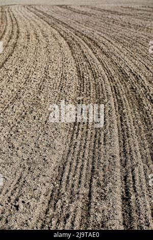 Mount Vernon, Staat Washington, USA. Schmutzfeld. Stockfoto