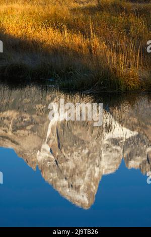 Die Teton Range spiegelt sich im Snake River von Schwabacher Landing, Grand Teton National Park, Wyoming, wider Stockfoto
