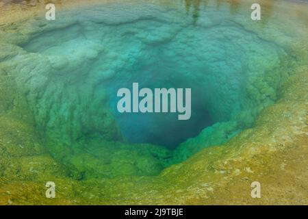 Morning Glory Pool, Yellowstone National Park. Stockfoto