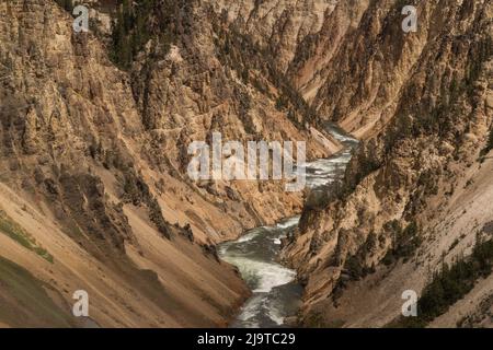 USA, Wyoming, Yellowstone National Park. Grand Canyon der Yellowstone-Landschaft. Stockfoto