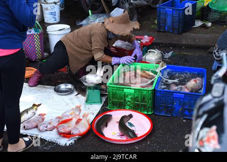 Nha Trang, Vietnam - 16. Mai 2022: vietnamesin verkauft frischen Fisch auf dem Vinh Hai Markt Stockfoto