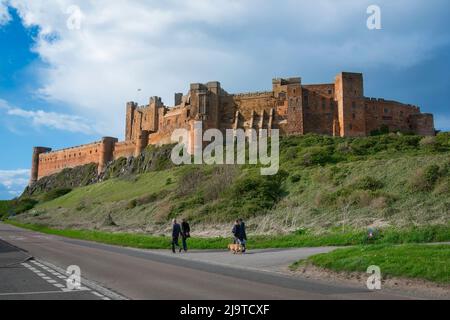 Castle Northumberland, Blick im Sommer auf Bamburgh Castle (aus dem 12.. Jahrhundert), das sich über dem Dorf Bamburgh an der Küste von Northumberland, Großbritannien, befindet Stockfoto