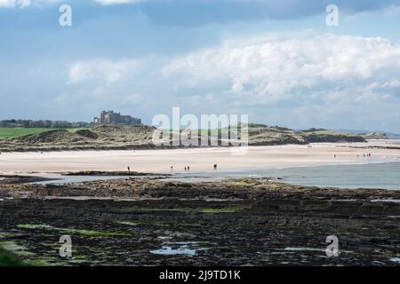 Beach Northumberland UK, Blick im Frühjahr über die Tumblers Rocks und St Aidan's Dunes in Richtung Bamburgh Castle an der Küste von Northumberland, England Stockfoto