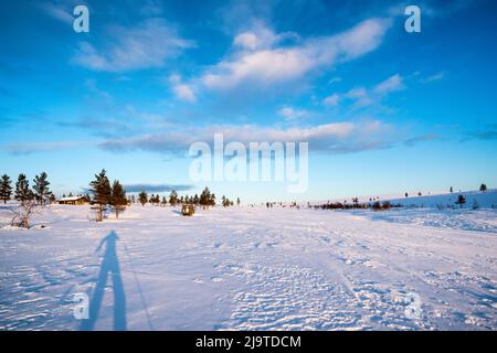 Skitouren im Lemmenjoki Nationalpark, Inari, Lappland, Finnland Stockfoto
