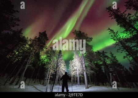 Skitouren unter den Nordlichtern im Lemmenjoki-Nationalpark, Inari, Lappland, Finnland Stockfoto