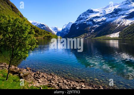 Kristallklares, blaues Wasser im Lake Lovatnet mit schneebedeckten Bergen. Norwegen Stockfoto