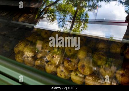 Die Äpfel einer Saftbar verrotten aufgrund der plötzlichen Sperrung in Shanghai, die seit zwei Monaten andauert. Stockfoto