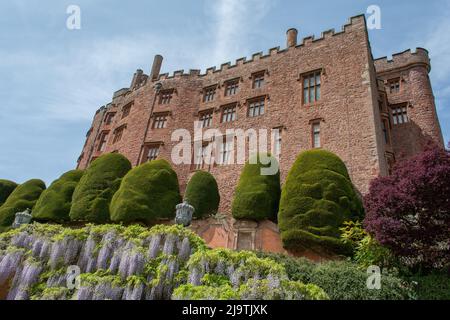 Dies ist das berühmte Powis Castle, das vom nationalen Trust betrieben wird.das Schloss in der Nähe von Welshpool Powys Mid Wales. Stockfoto