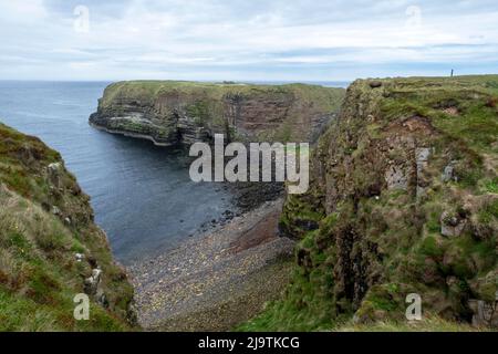 Aussichtspunkt auf der Klippe im Naturschutzgebiet Mull Head, Deerness, Orkney-Festland, Orkney-Inseln, Schottland. Stockfoto