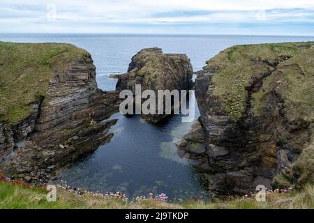 Aussichtspunkt auf der Klippe im Naturschutzgebiet Mull Head, Deerness, Orkney-Festland, Orkney-Inseln, Schottland. Stockfoto