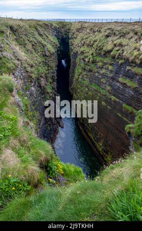 Die Gloup, eingestürzte Meereshöhle, Mull Head, Deerness, Orkney, Schottland. Stockfoto