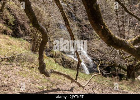 Uguna Wasserfall zwischen den Bäumen Stockfoto