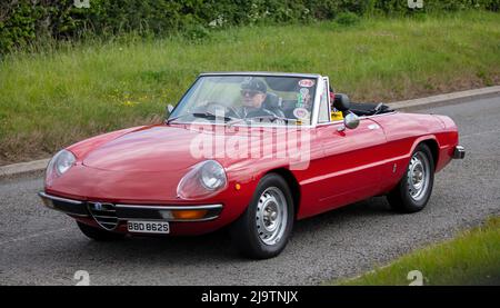 1977 rot Alfa Romeo Spider Softtop 1962 ccm Stockfoto