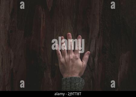 Öffnen Sie im Winter die Hand des Menschen, die auf der Rinde eines Baumes ruht und über Ökologie und Respekt vor der Natur spricht Stockfoto