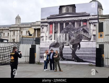 Trafalgar Square, London, Großbritannien 25.. Mai 2022. Werbeveranstaltung zur Veröffentlichung von Jurassic World Dominion mit einer interaktiven Projektion eines Gigantosaurus. Kredit: Matthew Chattle/Alamy Live Nachrichten Stockfoto