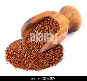 Canihua Körner isoliert auf weißem Hintergrund. Haufen Qaniwa in Holzlöffel. Trockene Körner von chenopodium pallidicaule Stockfoto