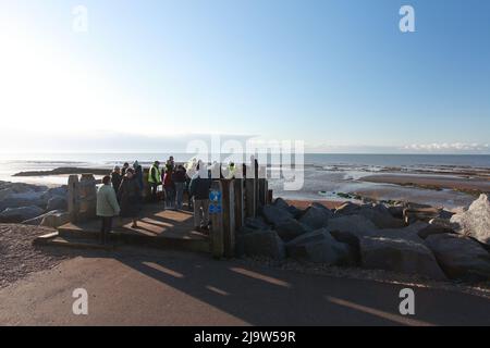 Gruppe von Einheimischen und Besuchern auf einer geführten Tour durch den Strand von Bulverhythe, die das Schiffswrack von Amsterdam und den alten Wald, Hastings, East Sussex, Großbritannien, erkundet Stockfoto