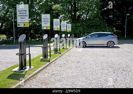 Laden von Elektroautos mit Nissan Leaf bei der Bank von Podpoint-Ladegeräten auf dem Penryn Campus der Falmouth University Cornwall UK Stockfoto