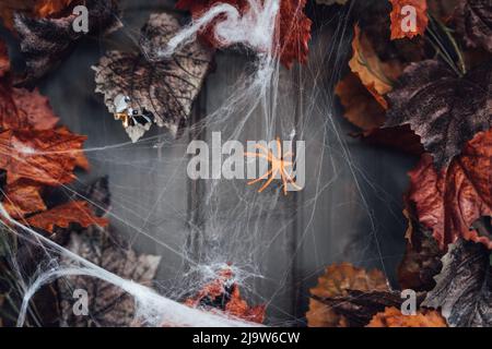 Bunte Kranz für halloween hängen an hölzernen Haus Tür aus alten orange Ahornblätter.Spider Web.Decorating von porch.Home, outdoort, Straße decora Stockfoto