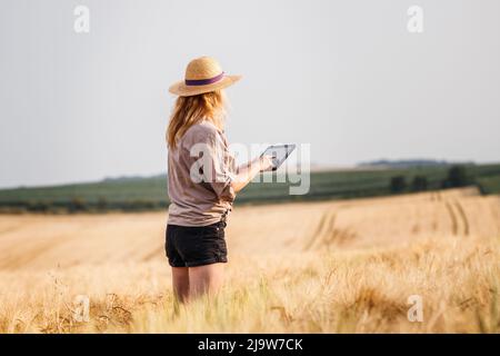 Landwirt, der vor der Ernte auf dem Gerstenfeld steht und die Qualität der Erzeugnisse prüft. Frau, die ein digitales Tablet für intelligente Landwirtschaft nutzt Stockfoto
