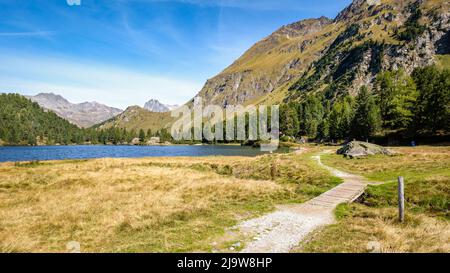 Lake Cavloc (Lägh da Cavloc) im September. Es ist ein See in der Nähe des Maloja Passes im Val Forno (Grisons, Schweiz) und eine Stunde zu Fuß von Maloja entfernt. Stockfoto