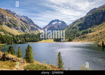 Lake Cavloc (Lägh da Cavloc) im September. Es ist ein See in der Nähe des Maloja Passes im Val Forno (Grisons, Schweiz) und eine Stunde zu Fuß von Maloja entfernt. Stockfoto