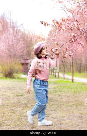 Ein kleines Mädchen in einem rosa Pullover und einer blauen Jeans schnuppert tagsüber im Park an einem Zweig aus Kirschblüten Stockfoto