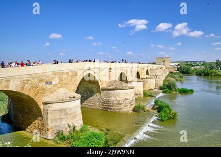 Die römische Brücke (Puente Romano) über dem Guadalquivir-Fluss, ein UNESCO-Weltkulturerbe. Cordoba, Andalusien. Spanien Stockfoto