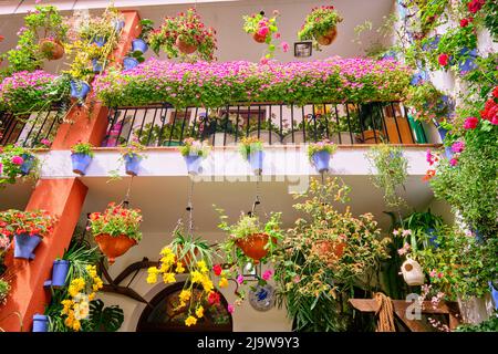 Ein traditioneller Patio von Cordoba, ein Innenhof voller Blumen und Frische. San Basilio, Andalusien, Spanien Stockfoto