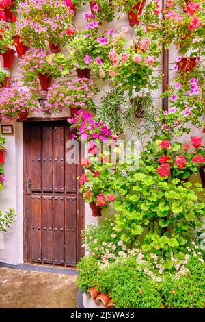 Ein traditioneller Patio von Cordoba, ein Innenhof voller Blumen und Frische. Ein immaterielles UNESCO-Kulturerbe der Menschheit. San Basilio Stockfoto