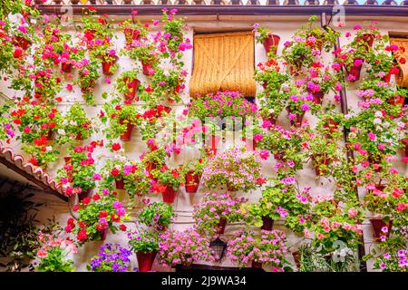 Ein traditioneller Patio von Cordoba, ein Innenhof voller Blumen und Frische. Ein immaterielles UNESCO-Kulturerbe der Menschheit. San Basilio, Spanien Stockfoto