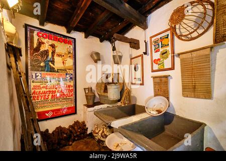 Waschküche in einem traditionellen Patio von Cordoba, einem Innenhof voller Blumen und Frische. San Basilio, Andalusien, Spanien Stockfoto