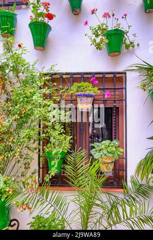 Detail eines traditionellen Patio von Cordoba, ein Innenhof voller Blumen und Frische. Andalusien, Spanien Stockfoto