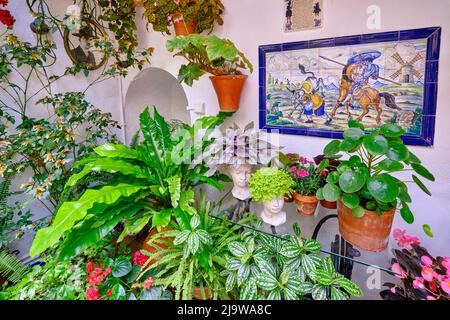 Detail eines traditionellen Patio von Cordoba, ein Innenhof voller Blumen und Frische. Andalusien, Spanien Stockfoto