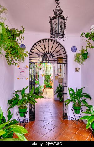 Eingang zu einem privaten Haus mit einer wunderschönen Terrasse voller Blumen und Frische. Cordoba, Andalusien. Spanien Stockfoto