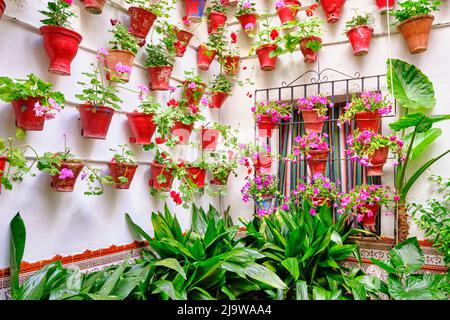 Detail eines traditionellen Patio von Cordoba, ein Innenhof voller Blumen und Frische. Andalusien, Spanien Stockfoto