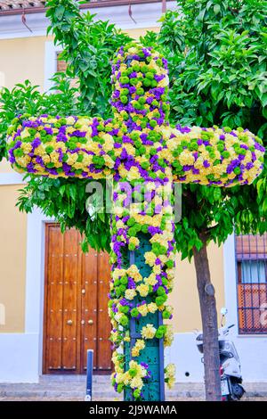Ein beliebtes Viertel mit der Plaza voller Blumen während des Cruces de Mayo (Maikreuze) Festivals. Cordoba, Andalusien. Spanien Stockfoto